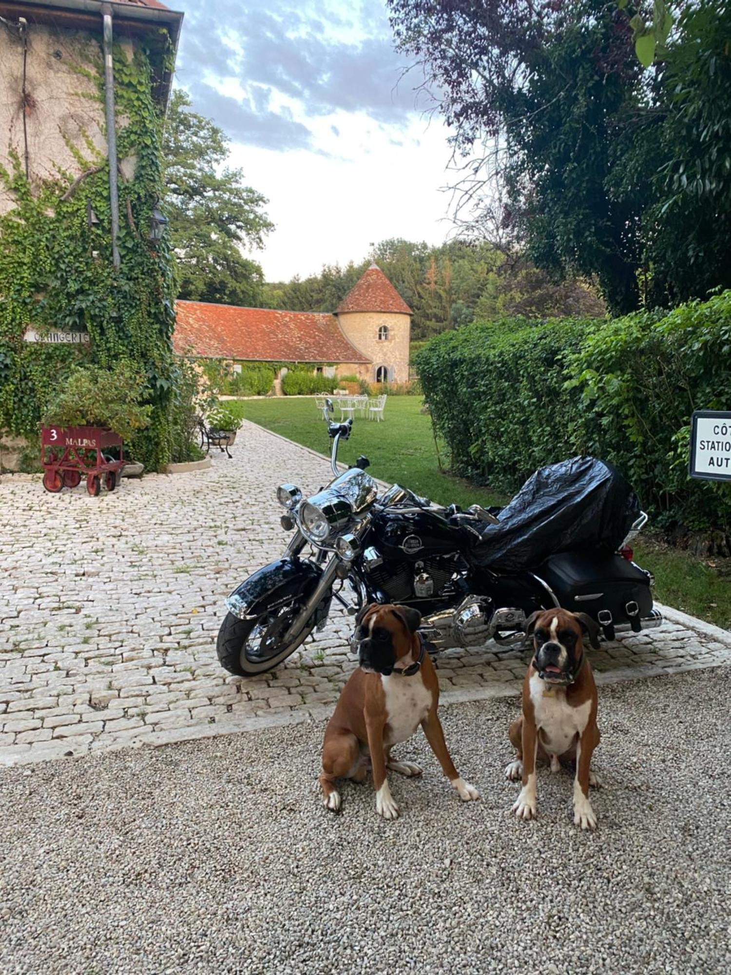 Le Colombier De Malpas Bed & Breakfast Quingey ภายนอก รูปภาพ